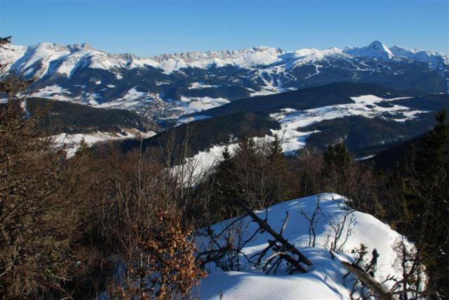 Отель La Ferme Du Bois Barbu Виллар-де-Ланс Экстерьер фото